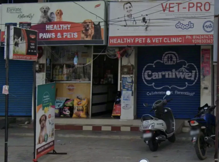 Healthy Pet & Vet Shop & Pet Clinic Spa Center - Pet Clinic in Pendurthi, Visakhapatnam