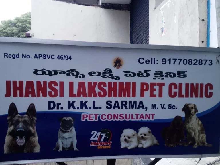 Jhansi Lakshmi Pet Clinic - Pet Clinic in Ram Nagar, Visakhapatnam