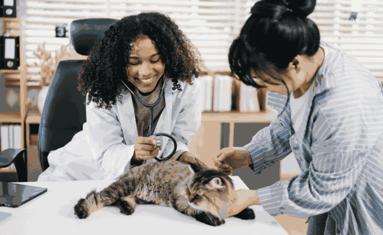 KAMALJIS Pets Clinic - Pet Clinic in Jammu Narayana Puram Rural, Vizianagaram