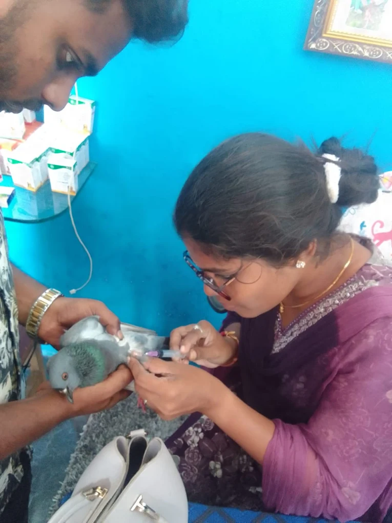 Kamakhya Pet Clinic Veterinary Clinic in Siriyalapeta, Vizianagaram — Facility Photo 3