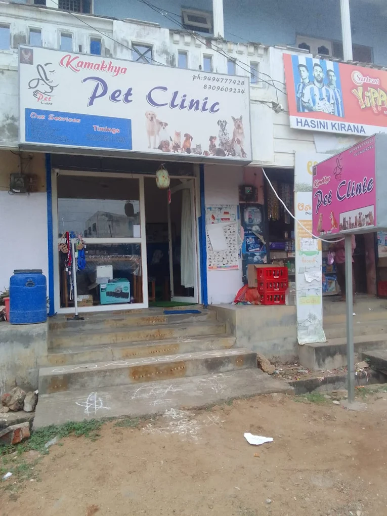 Kamakhya Pet Clinic - Pet Clinic in Siriyalapeta, Vizianagaram