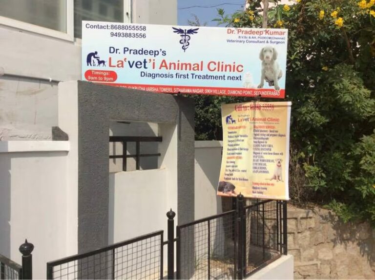 La vet i Animal Clinic - Pet Clinic in Kurmannapalem, Visakhapatnam