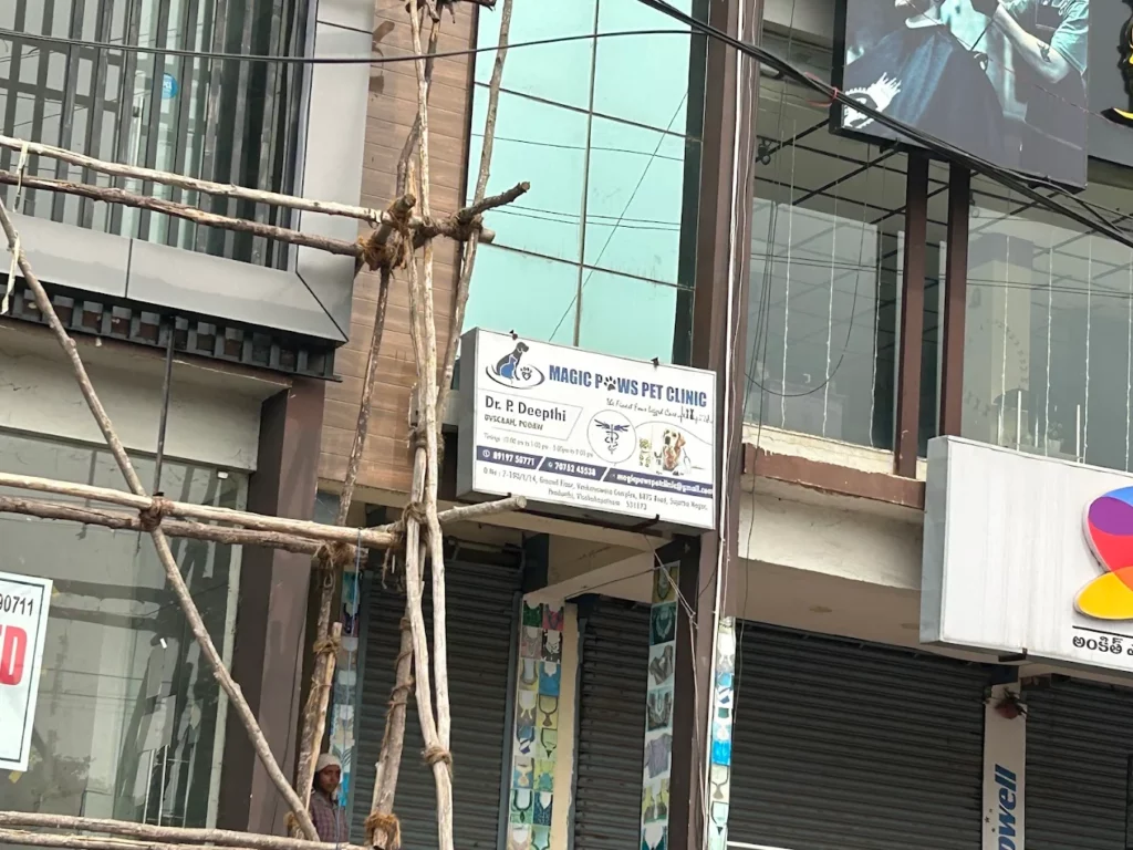 Magic Paws Pet Clinic Veterinary Clinic in Pendurthi, Visakhapatnam — Entrance/Facility Photo