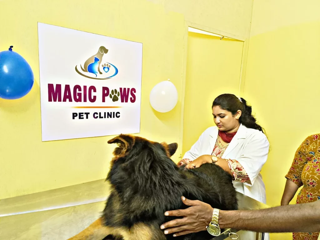 Magic Paws Pet Clinic Veterinary Clinic in Pendurthi, Visakhapatnam — Facility Photo 4
