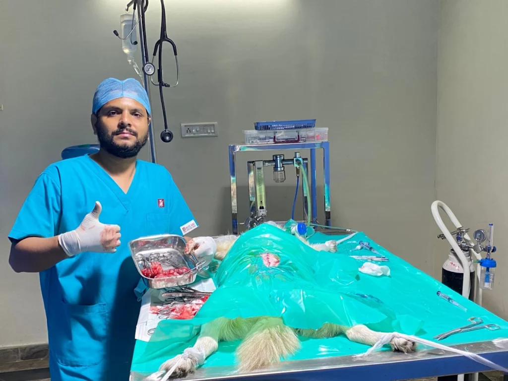 My Pet Clinic Veterinary Clinic in Madhavadhara, Visakhapatnam — Facility Photo 3