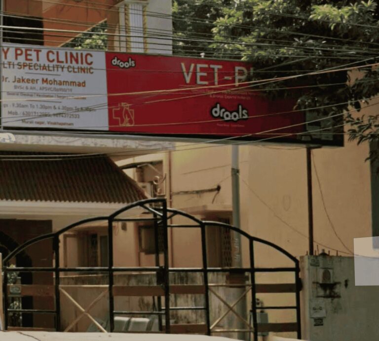 My Pet Clinic - Pet Clinic in Madhavadhara, Visakhapatnam