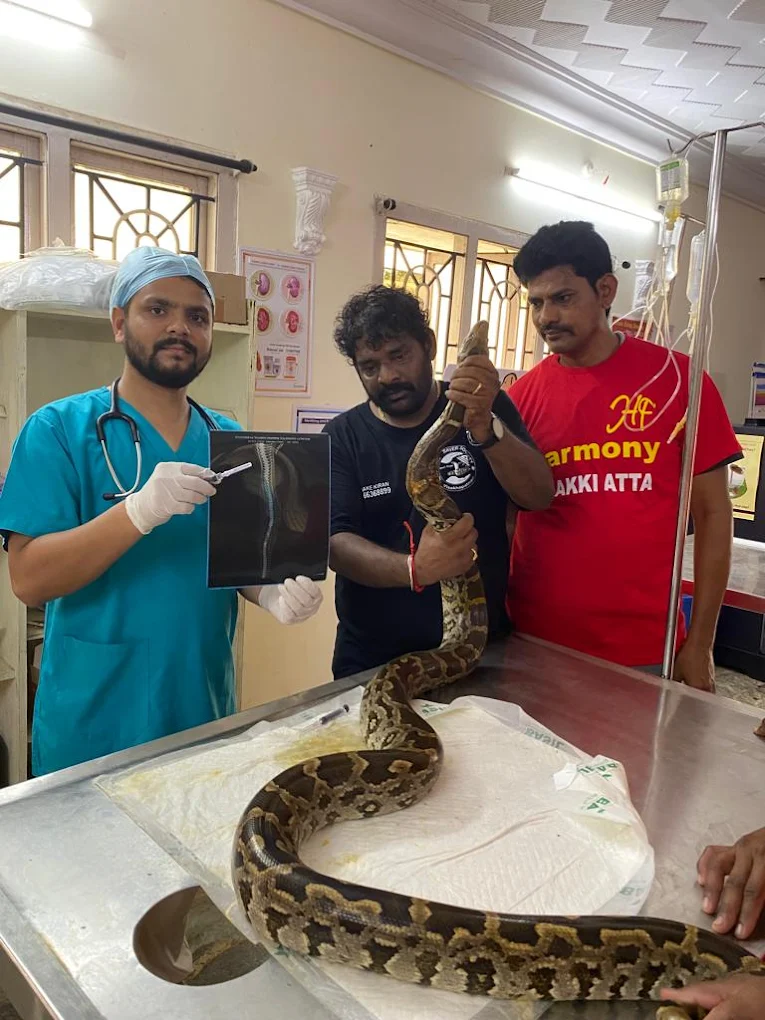My Pet Clinic Veterinary Clinic in Madhavadhara, Visakhapatnam — Facility Photo 2