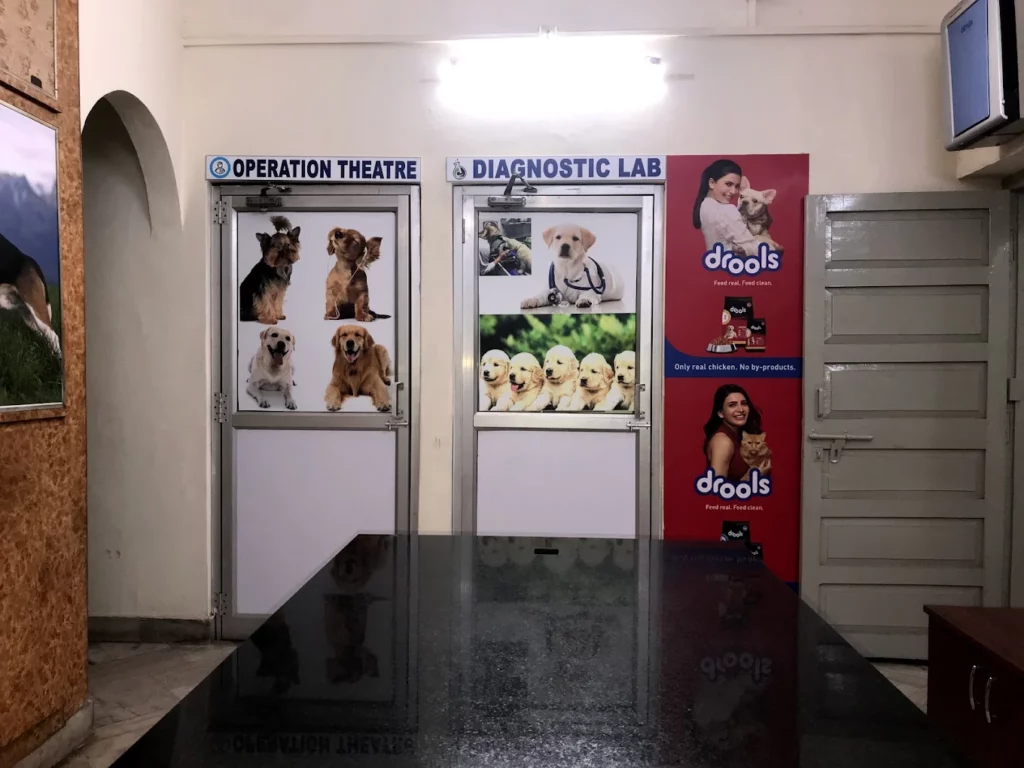Pet Care Veterinary Clinic in Sriram Nagar, Visakhapatnam — Facility Photo 4