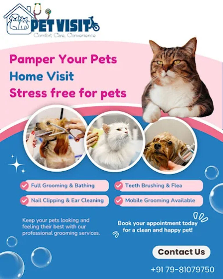 Pet Visit - Animal Hospital And Spa - Pet Clinic in HB Colony, Visakhapatnam