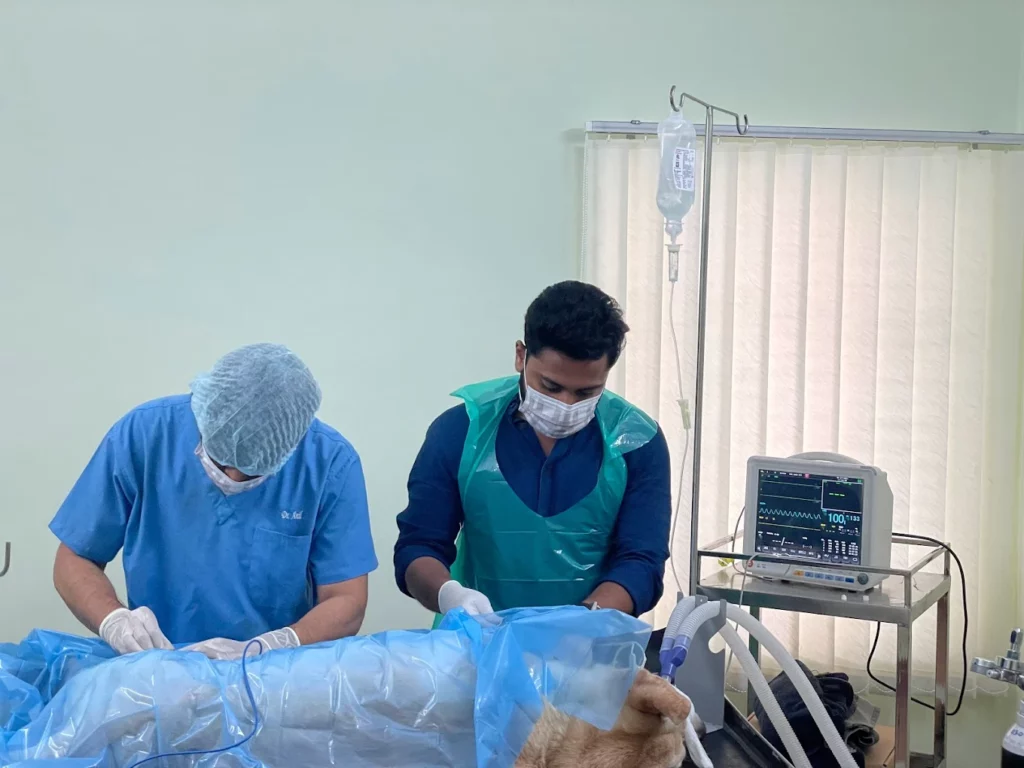 Pets Avenue Animal Hospital and Surgical Centre Veterinary Clinic in Seethammadara, Visakhapatnam — Facility Photo 6