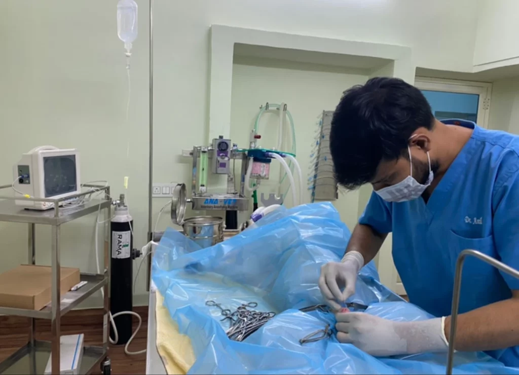Pets Avenue Animal Hospital and Surgical Centre Veterinary Clinic in Seethammadara, Visakhapatnam — Facility Photo 4