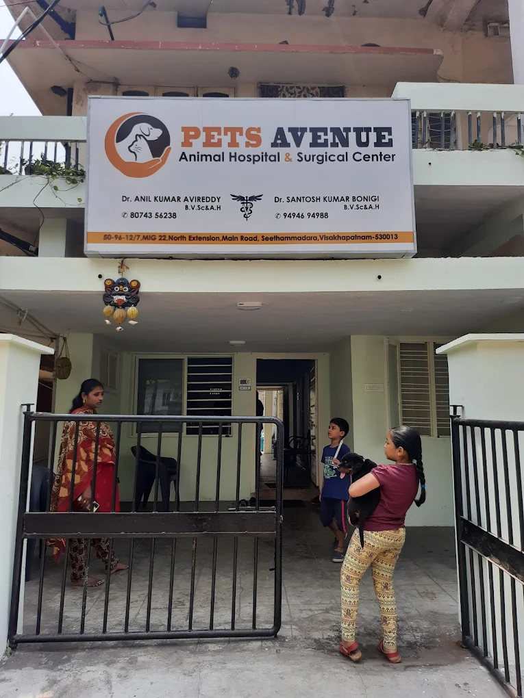 Pets Avenue Animal Hospital and Surgical Centre - Pet Clinic in Seethammadara, Visakhapatnam