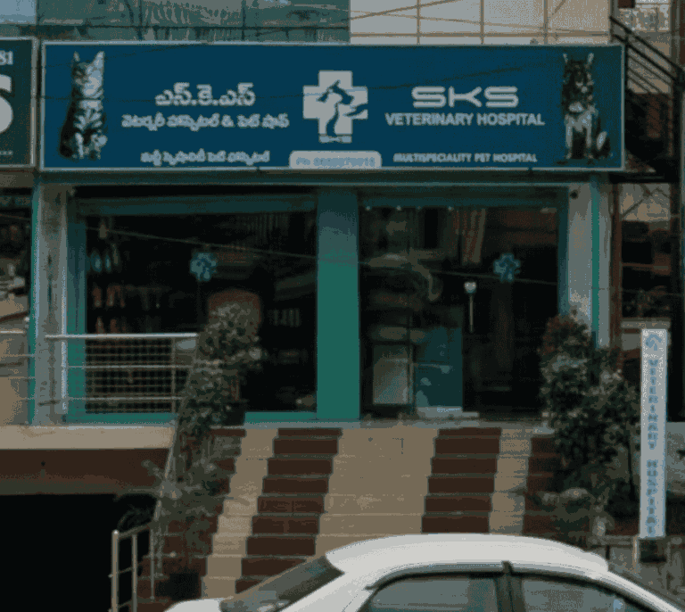 SKS Veterinary Hospital, Maddilapalem - Pet Clinic in Maddilapalem, Visakhapatnam