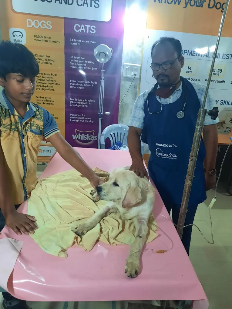 Savi Pet Clinic Veterinary Clinic in Babametta, Vizianagaram — Facility Photo 4
