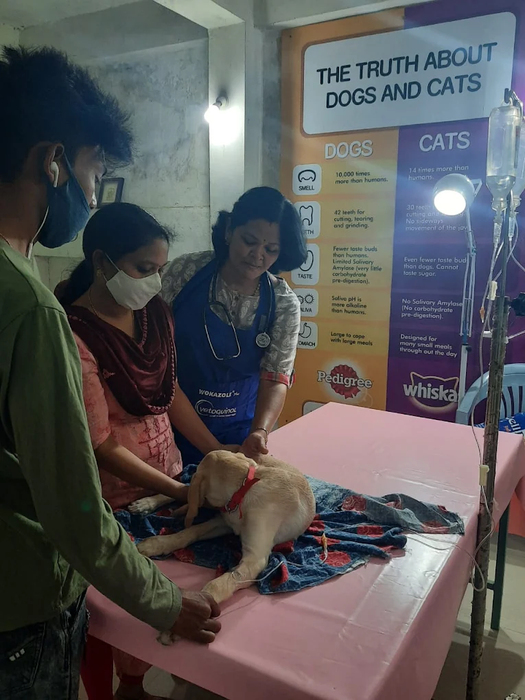 Savi Pet Clinic Veterinary Clinic in Babametta, Vizianagaram — Facility Photo 3