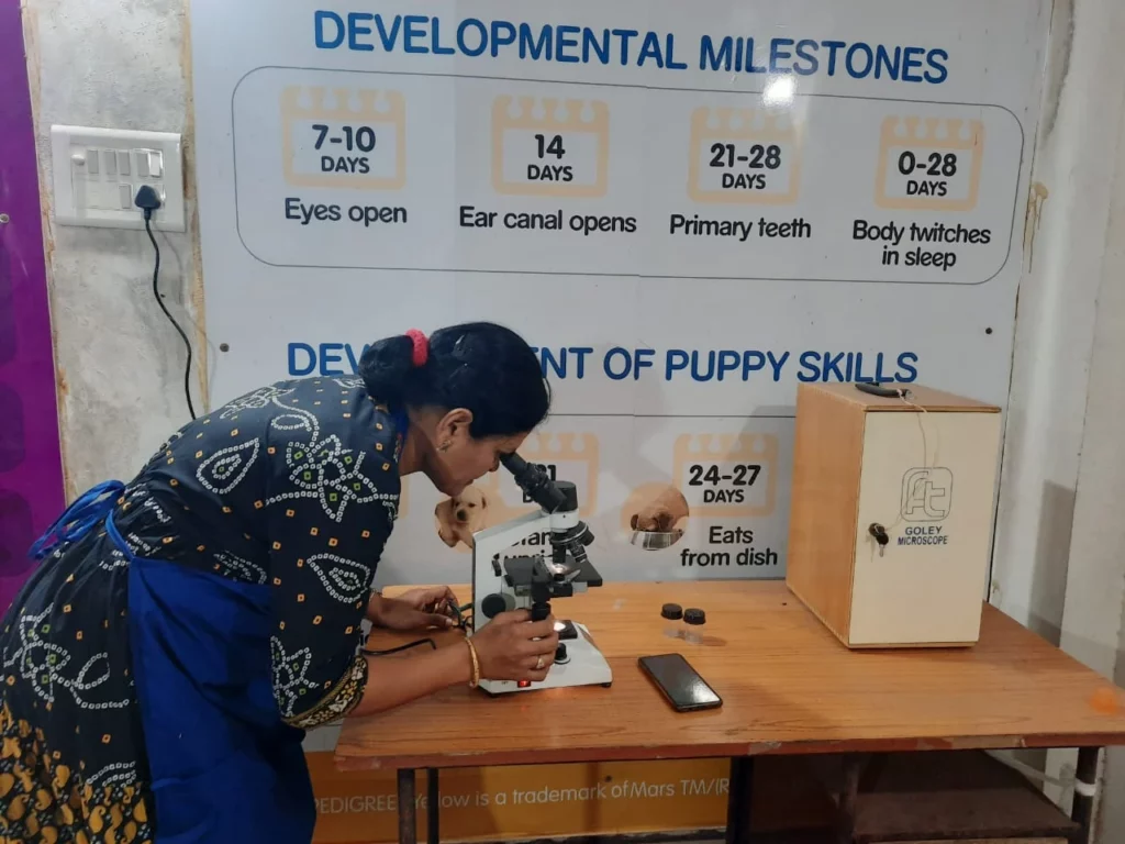 Savi Pet Clinic Veterinary Clinic in Babametta, Vizianagaram — Facility Photo 2