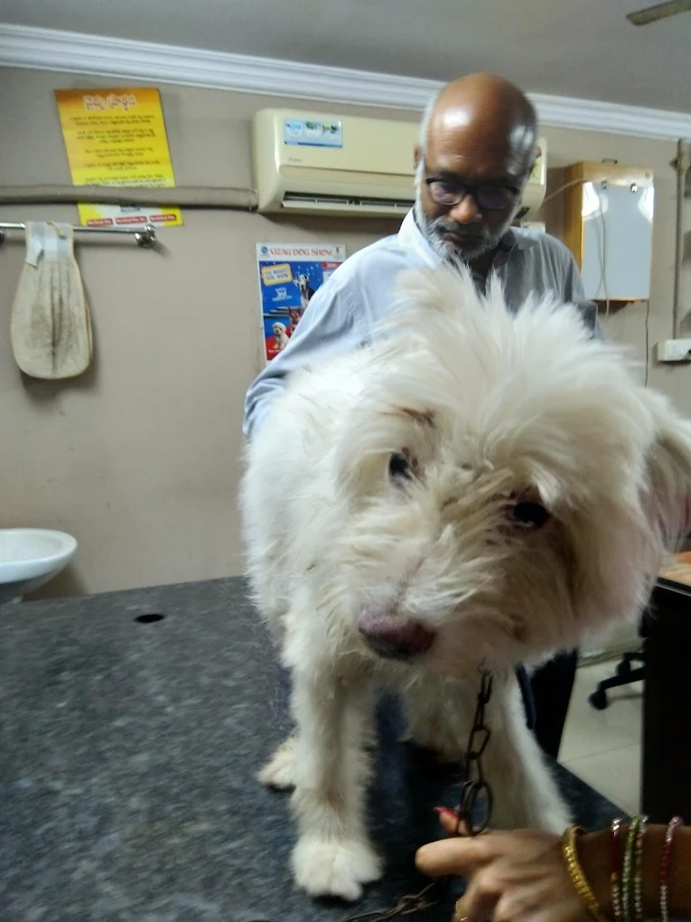 Shree Anoosh Pet Care Centre Veterinary Clinic in Dwaraka Nagar, Visakhapatnam — Facility Photo 5