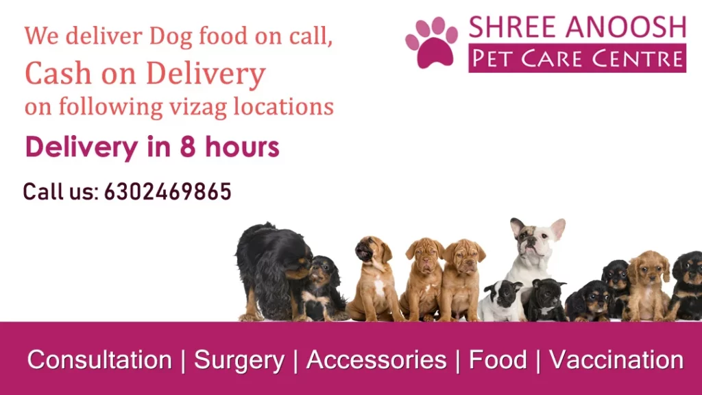 Shree Anoosh Pet Care Centre Veterinary Clinic in Dwaraka Nagar, Visakhapatnam — Facility Photo 4
