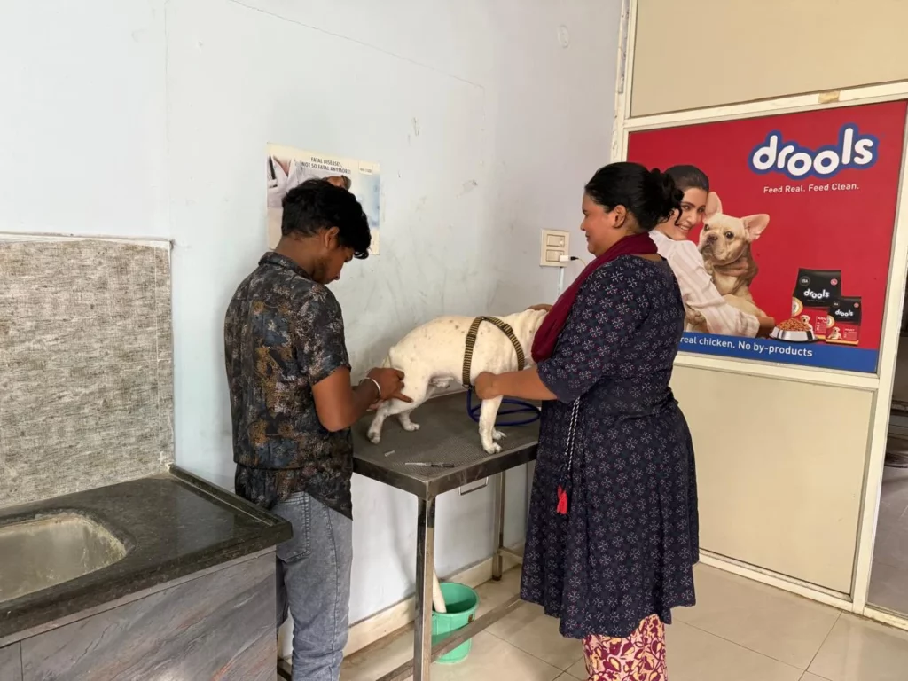 Star Breeds Pet Clinic and Pharmacy Veterinary Clinic in Thagarapuvalasa, Visakhapatnam — Facility Photo 2