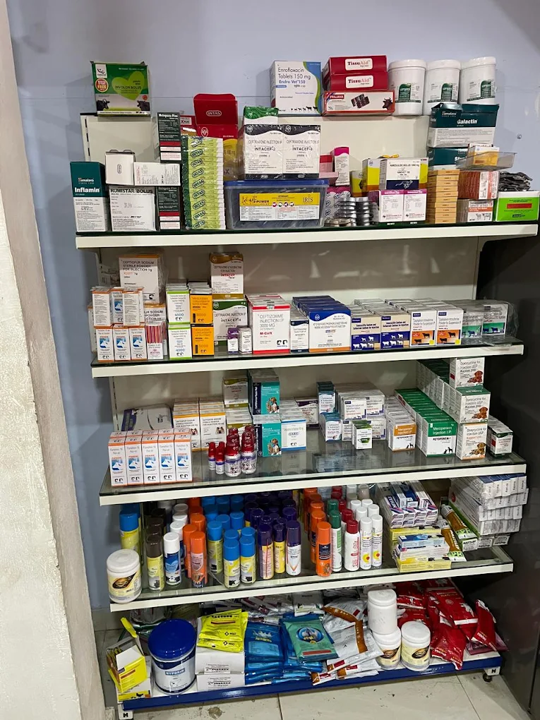 Star Breeds Pet Store and Clinic Veterinary Clinic in Gajuwaka, Visakhapatnam — Facility Photo 3