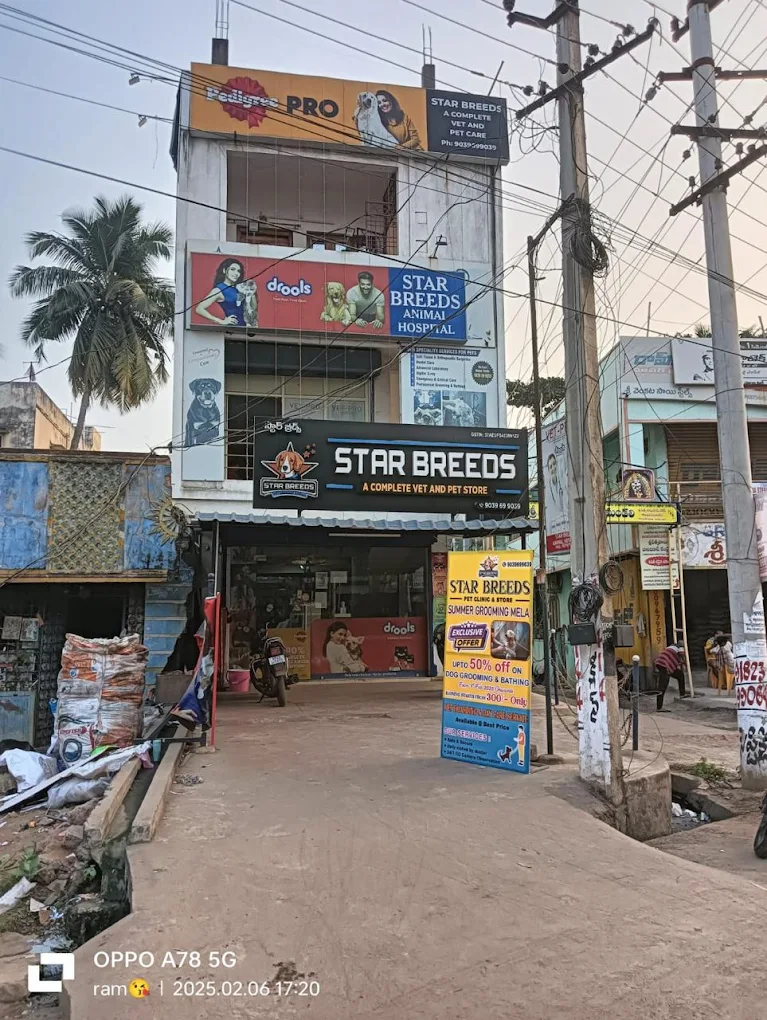 Star Breeds Pet Store and Clinic - Pet Clinic in Gajuwaka, Visakhapatnam