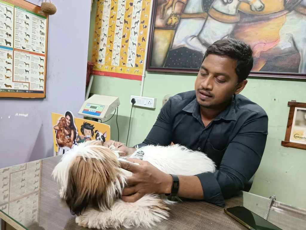 Sudheers’ VETMAA Pet Clinic Veterinary Clinic in Jonnaguddi Area, Vizianagaram — Facility Photo 4