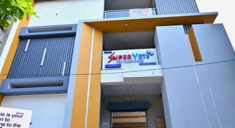 SuperVets Pet Clinic and Spa - Pet Clinic in Seethammadara, Visakhapatnam