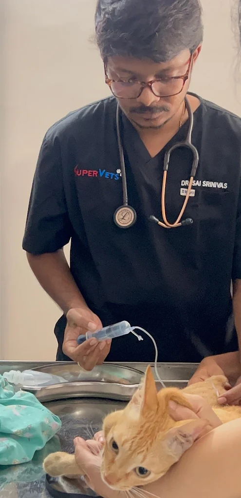 SuperVets Pet Clinic and Spa Veterinary Clinic in Seethammadara, Visakhapatnam — Facility Photo 5