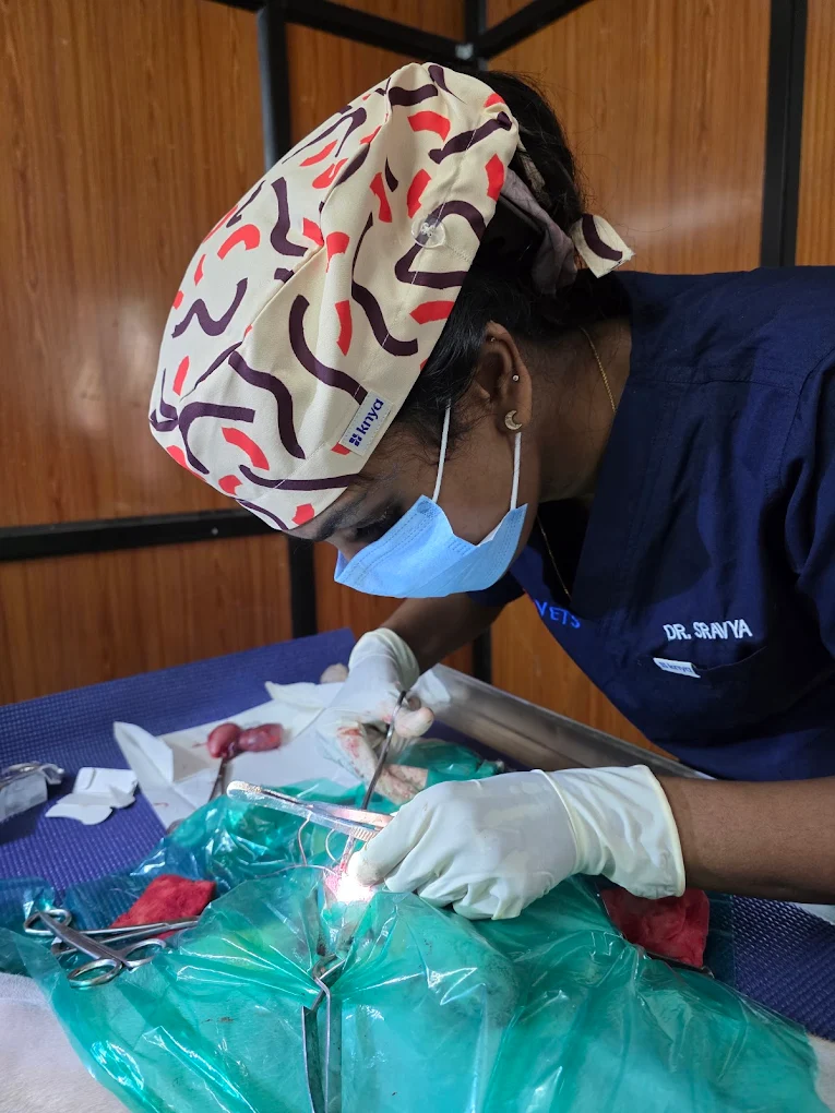 SuperVets Pet Clinic and Spa Veterinary Clinic in Seethammadara, Visakhapatnam — Facility Photo 3
