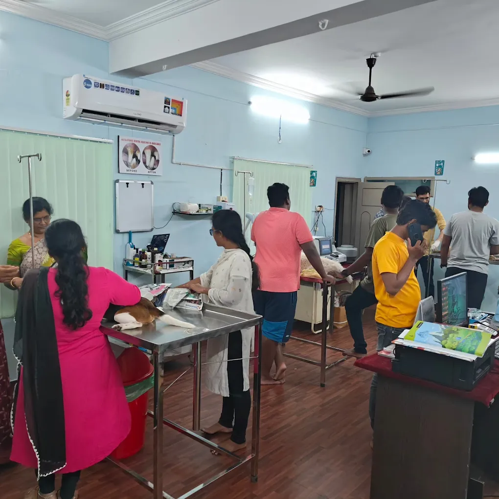 THE VIZAG VET Animal Hospital & Pet Spa Veterinary Clinic in Old Gajuwaka, Visakhapatnam — Facility Photo 6