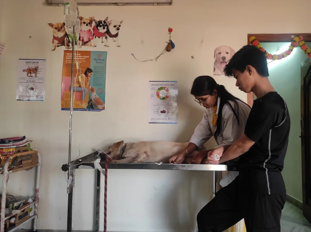 The Mellow Pet Clinic Veterinary Clinic in Madhavadhara, Visakhapatnam — Facility Photo 6