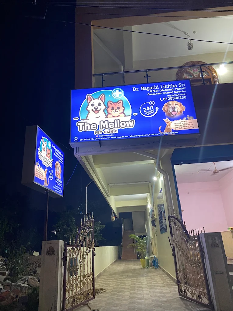 The Mellow Pet Clinic - Pet Clinic in Madhavadhara, Visakhapatnam