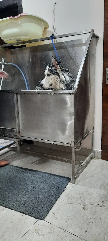 The Vizag Vet Animal Hospital & Pet Spa Gajuwaka Veterinary Clinic in Old Gajuwaka, Visakhapatnam — Facility Photo 5