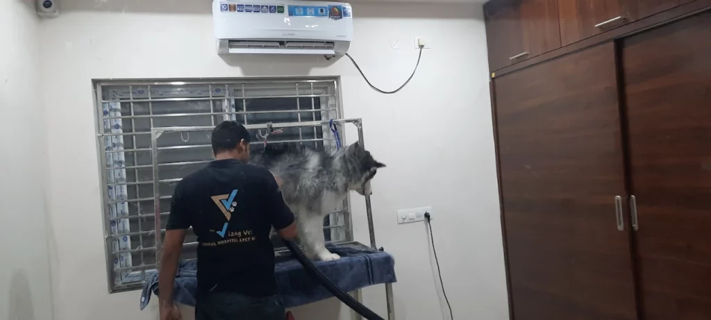 The Vizag Vet Animal Hospital & Pet Spa Gajuwaka Veterinary Clinic in Old Gajuwaka, Visakhapatnam — Facility Photo 3