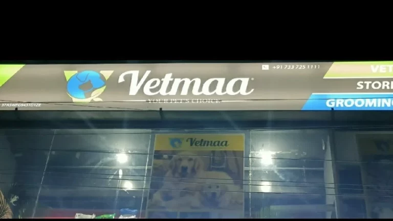 VETMAA Animal Health - Pet Clinic in Jonnaguddi Area, Vizianagaram