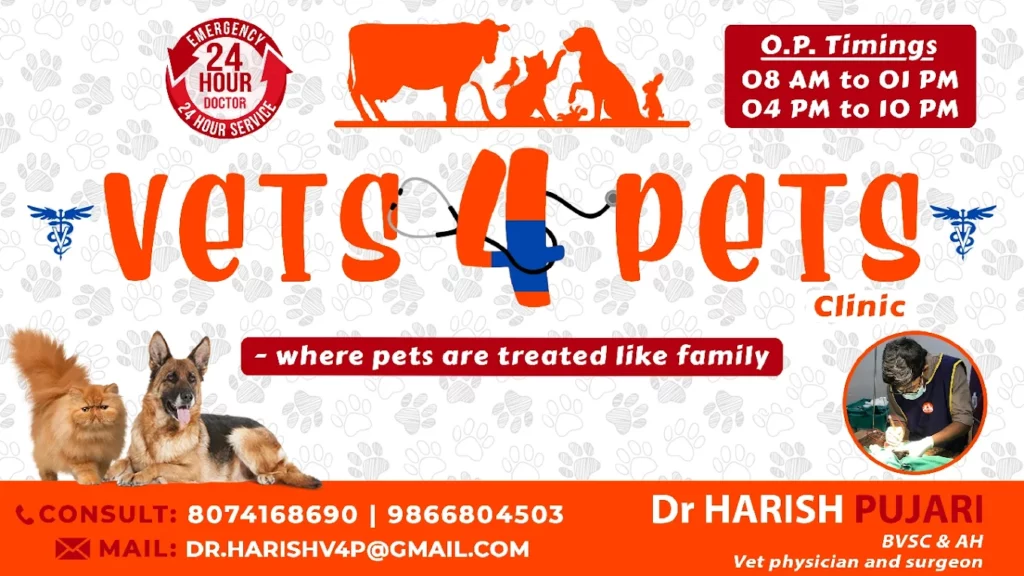 VETS4PETS HOSPITALS Veterinary Clinic in Akkayyapalem, Visakhapatnam — Facility Photo 3