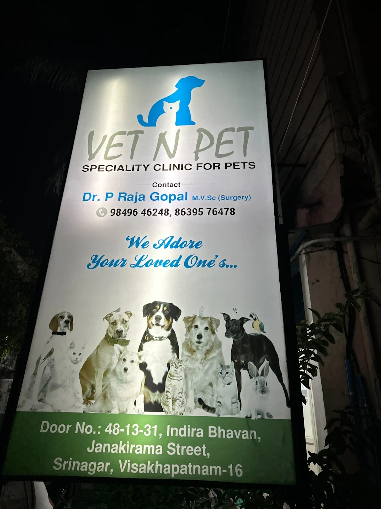 Vet n Pet Clinic Veterinary Clinic in Dwaraka Nagar, Visakhapatnam — Facility Photo 5