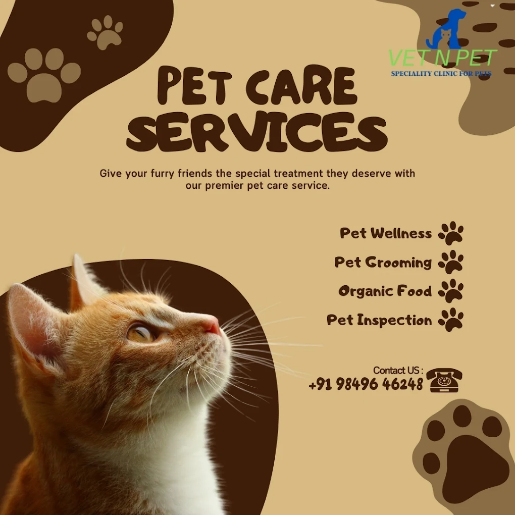 Vet n Pet Clinic Veterinary Clinic in Dwaraka Nagar, Visakhapatnam — Facility Photo 3