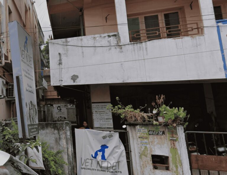 Vet n Pet Clinic - Pet Clinic in Dwaraka Nagar, Visakhapatnam