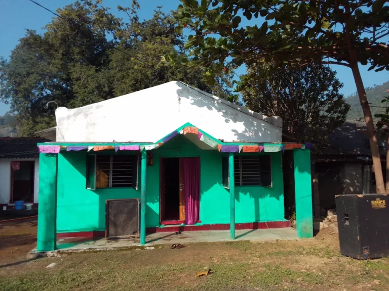 Veterinarian Dileep, Valasi - Pet Clinic in Vootagedda, Visakhapatnam