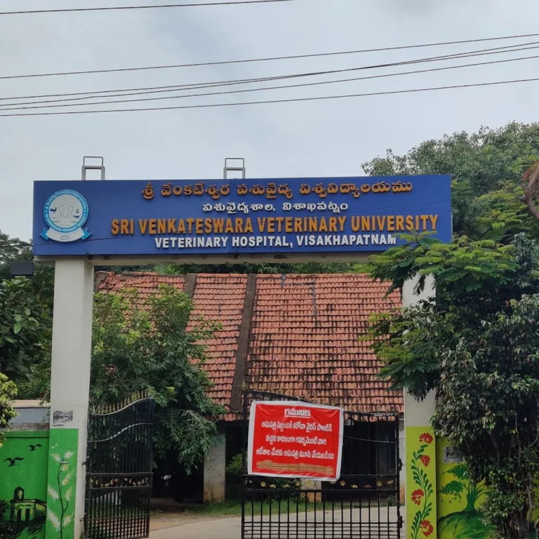 Government Veterinary Hospital, Beside Judge Court - Pet Clinic in Ram Nagar, Visakhapatnam