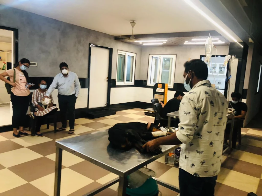 Visakha Pet Hospital Veterinary Clinic in Vishalakshi Nagar, Visakhapatnam — Facility Photo 6