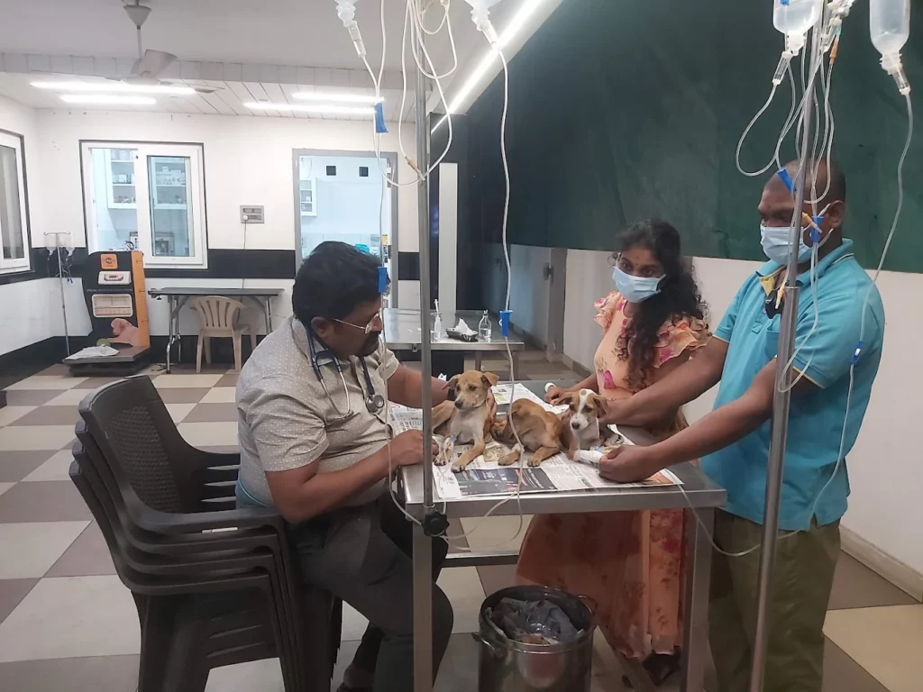 Visakha Pet Hospital Veterinary Clinic in Vishalakshi Nagar, Visakhapatnam — Facility Photo 4