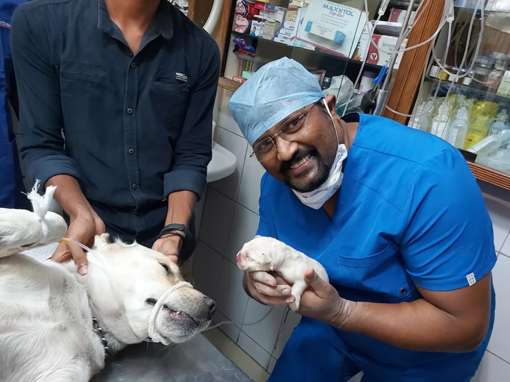 Visakha Pet Hospital Veterinary Clinic in Vishalakshi Nagar, Visakhapatnam — Facility Photo 3