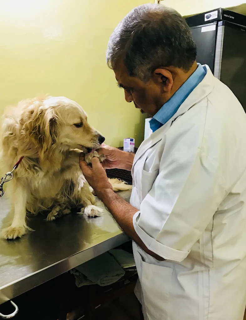 Aasra Pet Clinic Veterinary Clinic in Basavanagudi, Bengaluru — Facility Photo 5