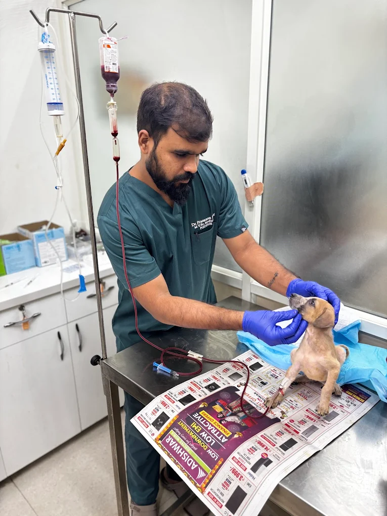 Amigo Pet Hospital Veterinary Clinic in Kasavanahalli, Bengaluru — Facility Photo 8