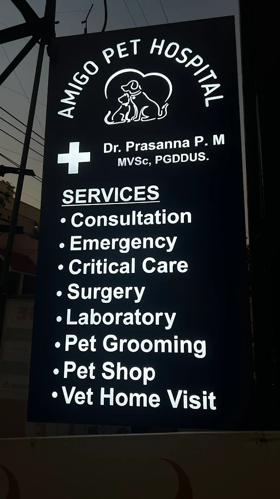 Amigo Pet Hospital Veterinary Clinic in Kasavanahalli, Bengaluru — Facility Photo 3