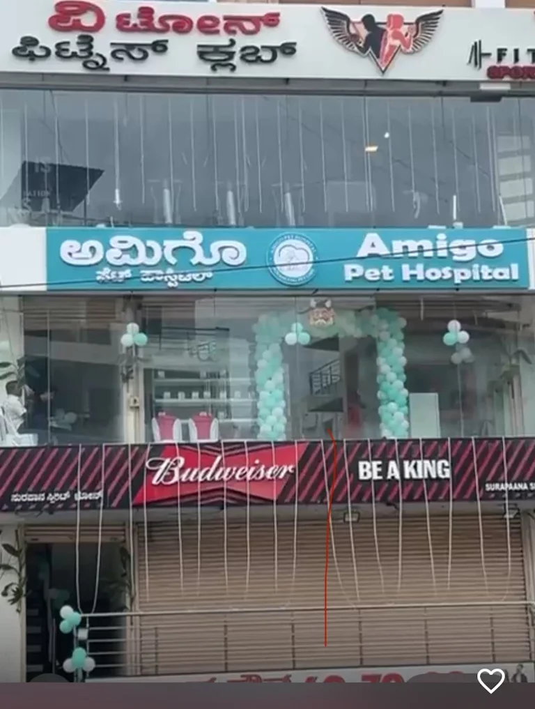 Amigo Pet Hospital - Pet Clinic in Kasavanahalli, Bengaluru