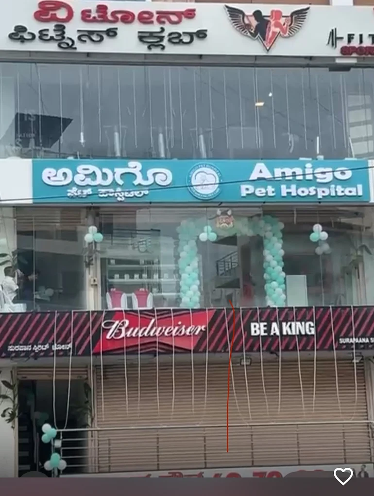 Amigo Pet Hospital Veterinary Clinic in Kasavanahalli, Bengaluru — Entrance/Facility Photo