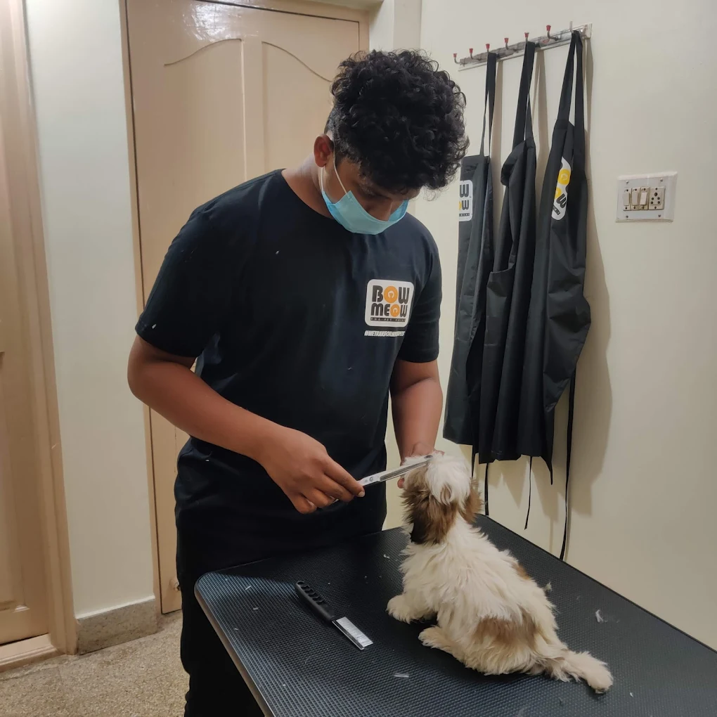 Bow Meow The Pet Point, BTM Layout Veterinary Clinic in BTM Layout, Bengaluru — Facility Photo 4
